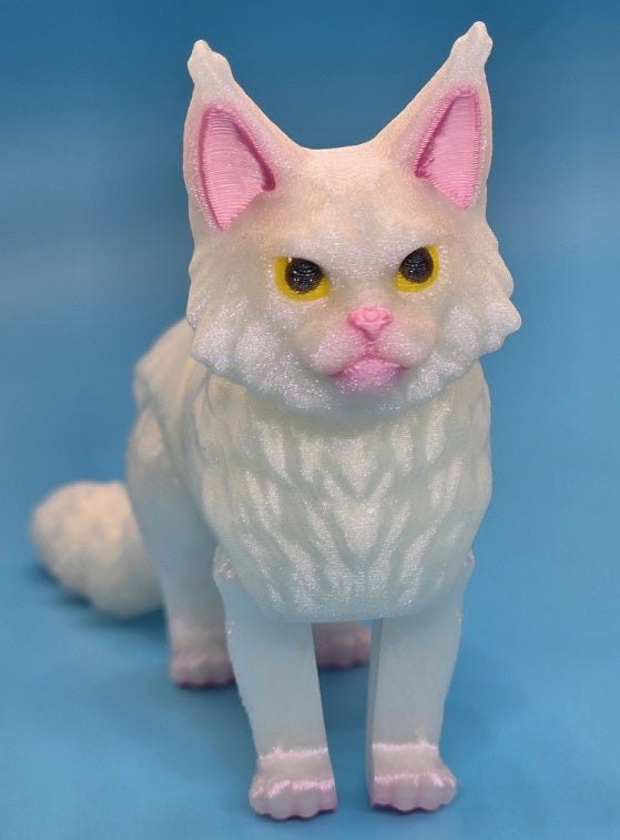FidgetPet: Maine Coon A